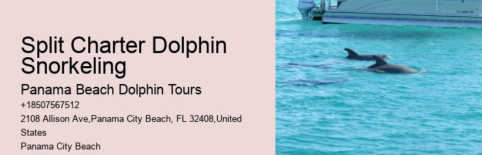 Split Exclusive Charters For Dolphin And Snorkeling Adventures