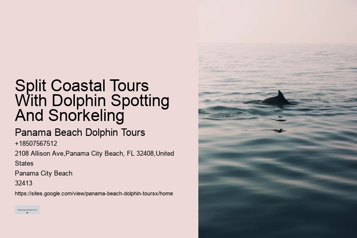 Charter Dolphin And Snorkeling Tours