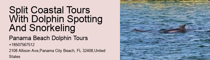 Split Off-the-grid Dolphin And Snorkeling Excursions