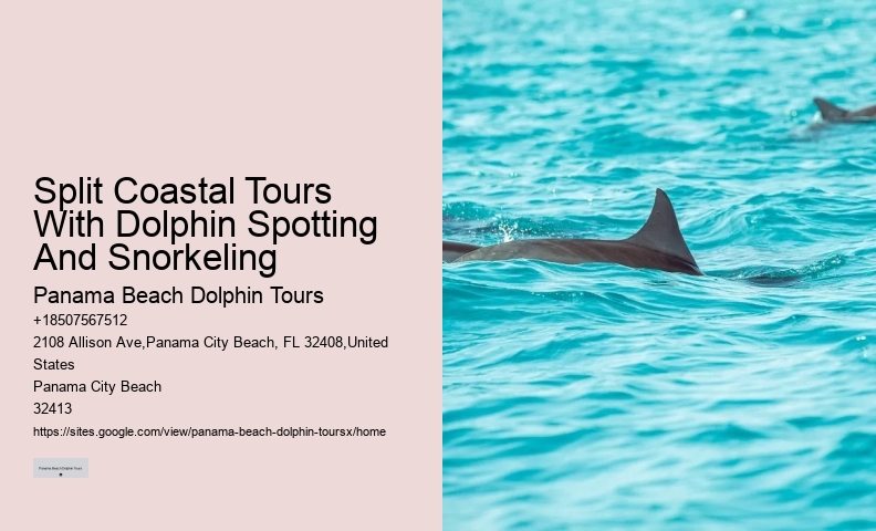 Individual Dolphin Watching with Snorkeling