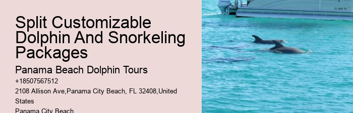 Dolphin Tours And Shell Island Panama City Beach