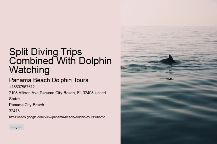 What type of dolphin species might we encounter on the tour