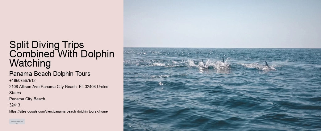 Private 2 Hour Dolphin Snorkeling And Island Excursion