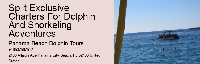 Panama City Beach Dolphin Discovery Adventures