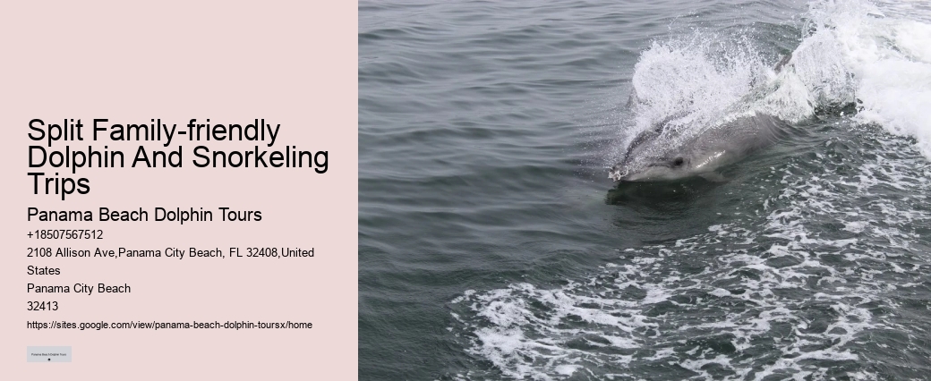 Do Dolphins Swim Close To Cruise Ships