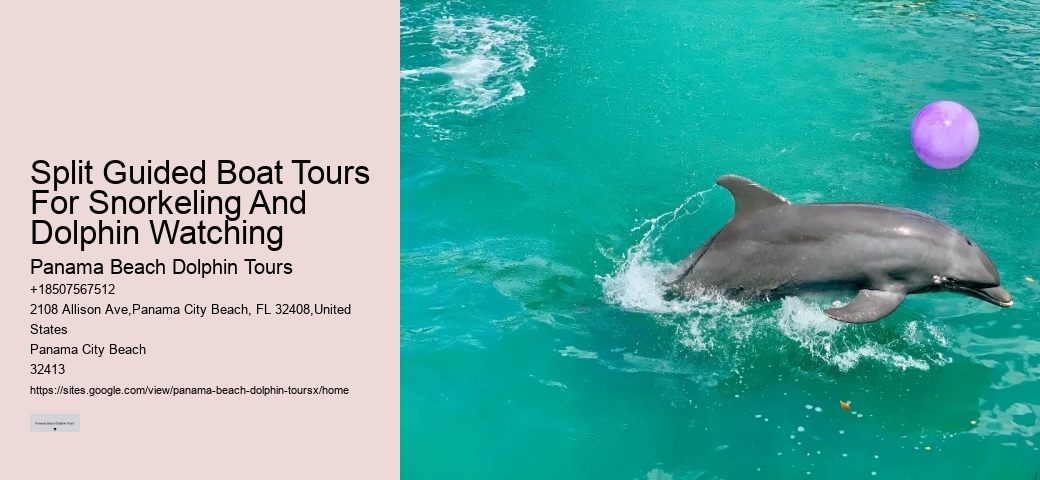 Split Guided Boat Tours For Snorkeling And Dolphin Watching