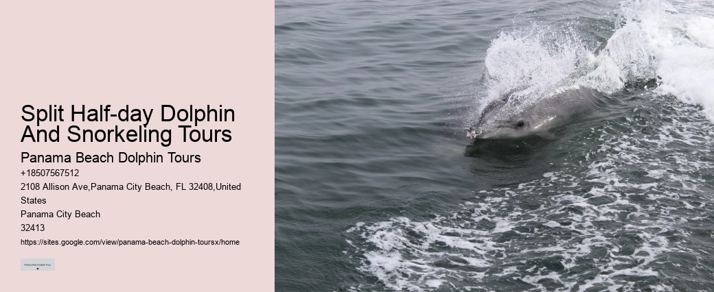 Can I book a private dolphin tour in Panama City Beach