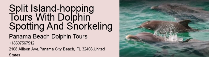 Dolphins Do Not Swim With People