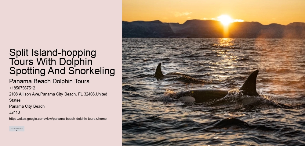 Panama City Beach Dolphin Voyage Tours