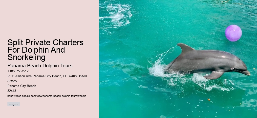 Split Private Charters For Dolphin And Snorkeling