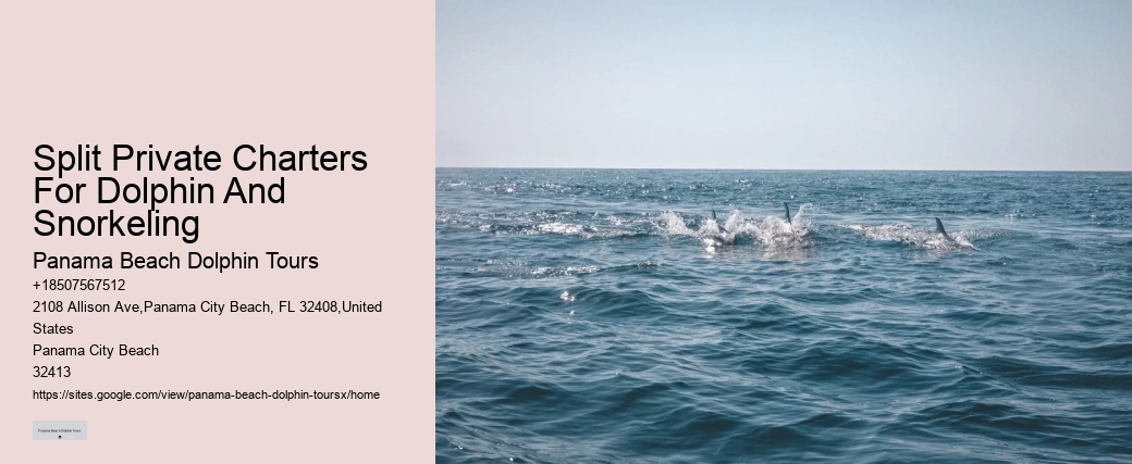 Are Panama City Beach dolphin tours wheelchair accessible