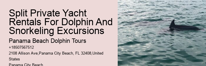 Split Group Tours For Snorkeling And Dolphin Watching