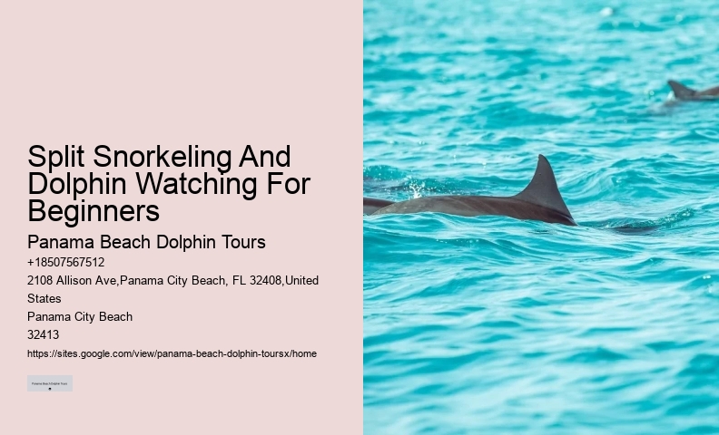 Panama City Fl Boat Tours