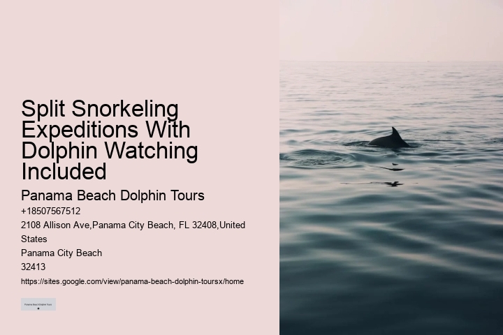 What Is A Female Dolphin Called