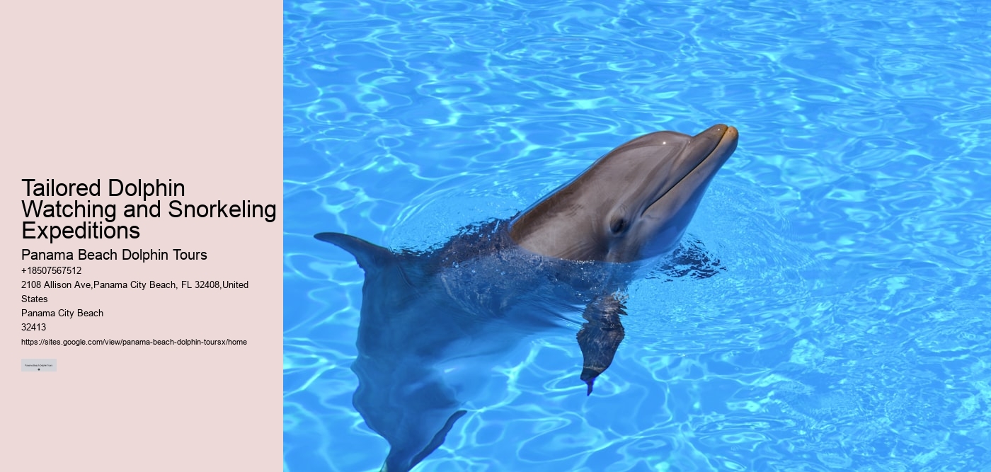 Tailored Dolphin Watching and Snorkeling Expeditions