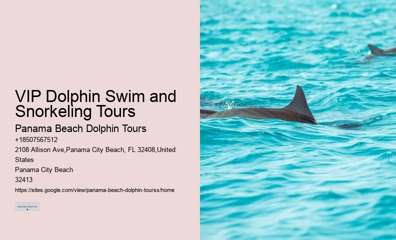 Guidelines For Interaction With Wild Dolphins In Florida
