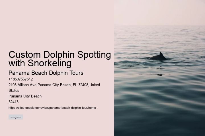 Do We Need Water Shoes To Swim With The Dolphins At Ocean World