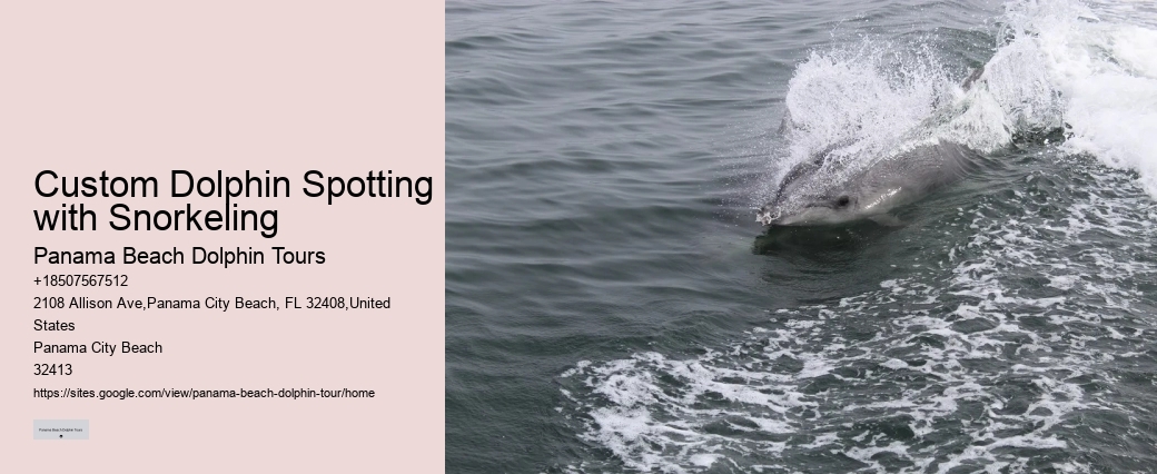 Panama City Beach Dolphin Sightseeing