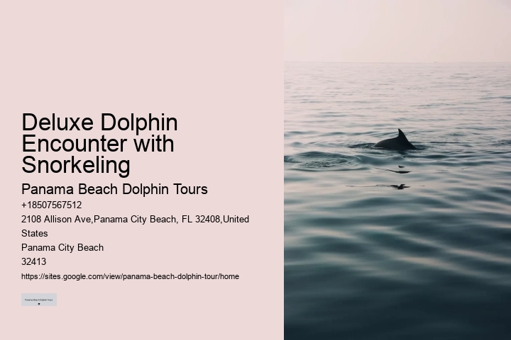 Split Dolphin Spotting And Snorkel Trips