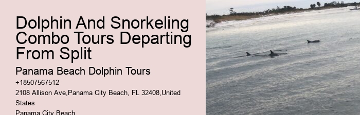 Can I request a specific time for my dolphin tour