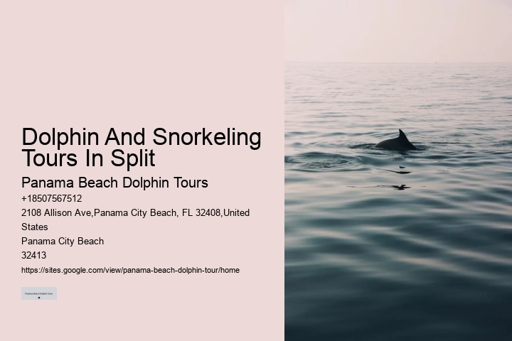Swimming With Dolphins