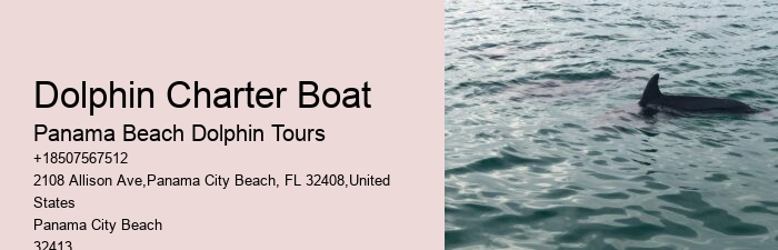 Dolphin spotting tours in Panama City Beach