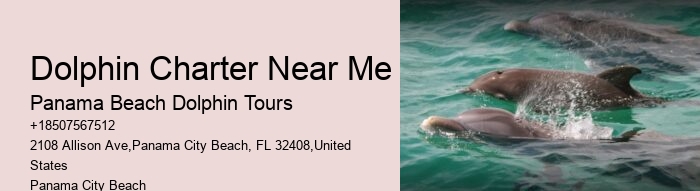 Panama City Beach Speed Boat Tour
