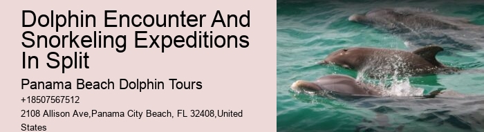 Shell Island Blue Dolphin Tours