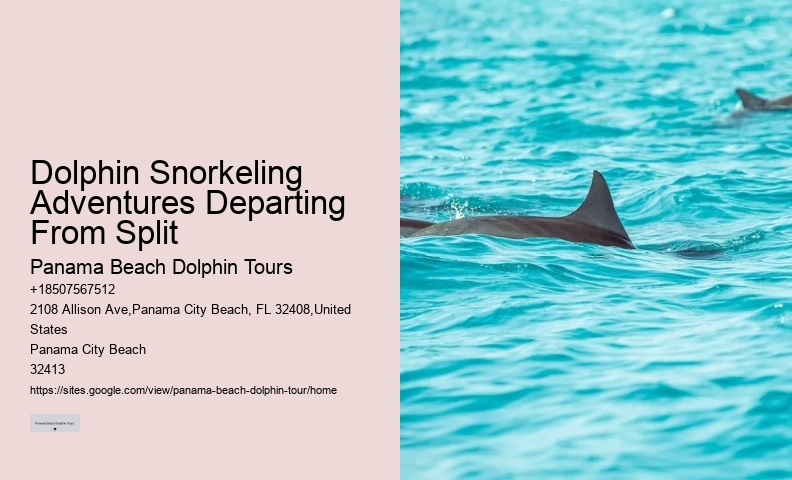 VIP Dolphin Encounter with Snorkeling
