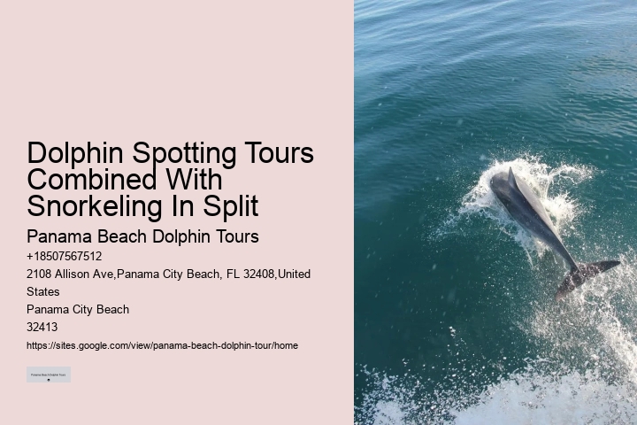 Can You Swim With Dolphins In Panama
