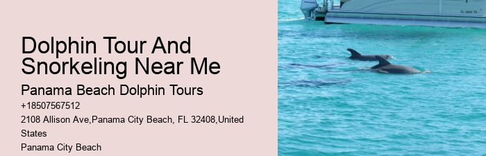 Panama City Beach dolphin expeditions