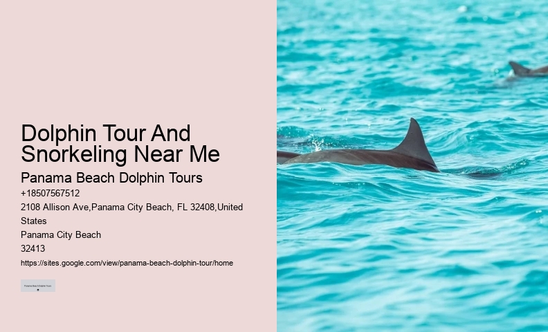 Sunset Dolphin Tours Panama City Beach Fl