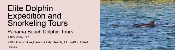 What is the cancellation policy for dolphin tours in Panama City Beach