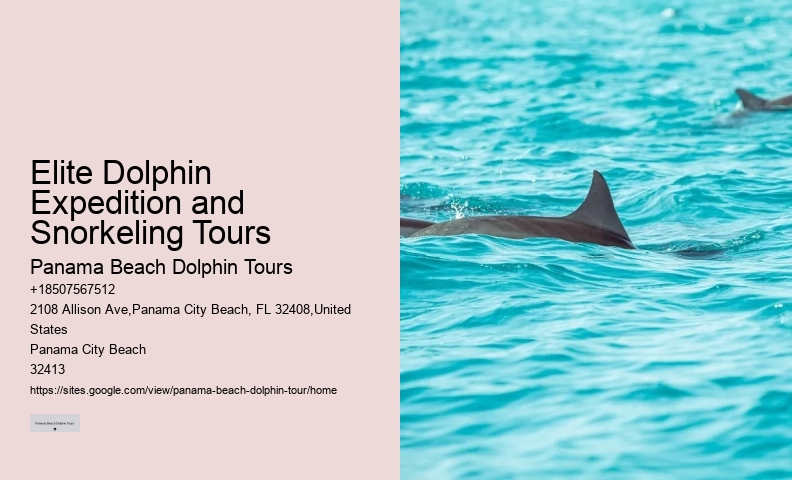 Split Boat Tours With Dolphin Watching