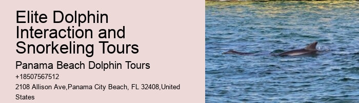 Come Swim With The Dolphins