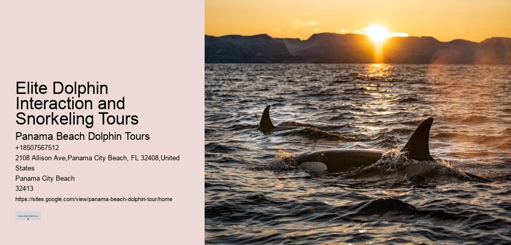 Are dolphin tours in Panama City Beach narrated by guides