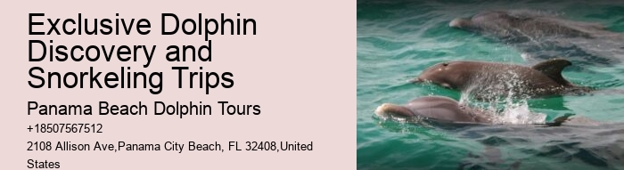 Dolphin Fact Sheet