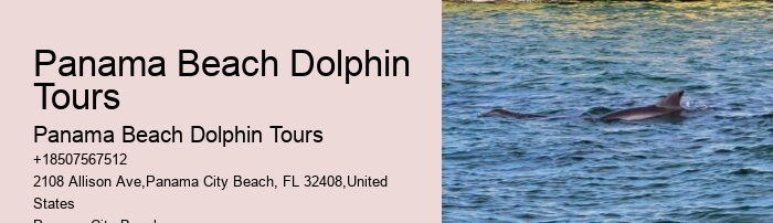 Panama City Beach Boat Tours To Shell Island