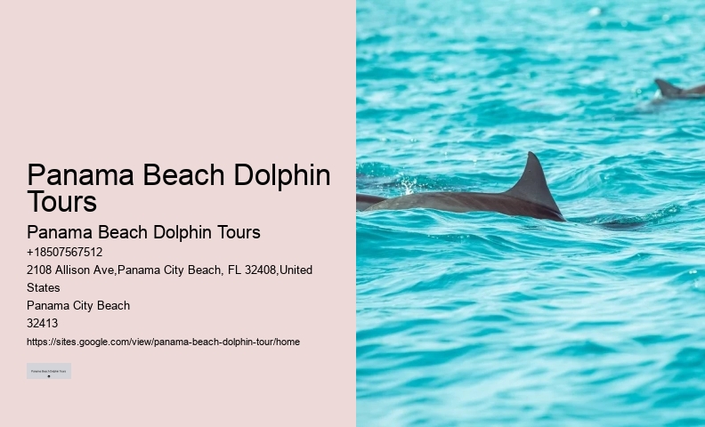 Dolphin Cruise Panama