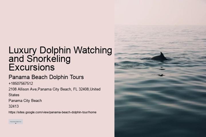 Panama City Beach dolphin watching trips