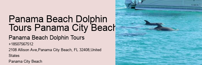 How Much Does It Cost To Swim With The Dolphins In Panama City Beach
