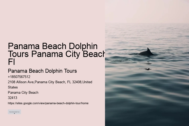 Secluded Dolphin Encounter with Snorkeling