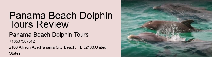 Panama City Beach dolphin spotting cruises
