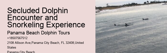 PCB Dolphin Exploration Trips