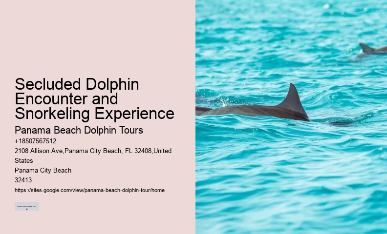 Sunset Dolphin Tours Panama City Beach