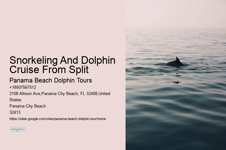 Panama City Beach dolphin boat trips
