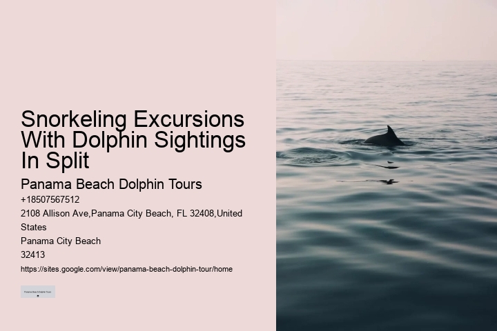 Split Thrilling Dolphin And Snorkeling Charters
