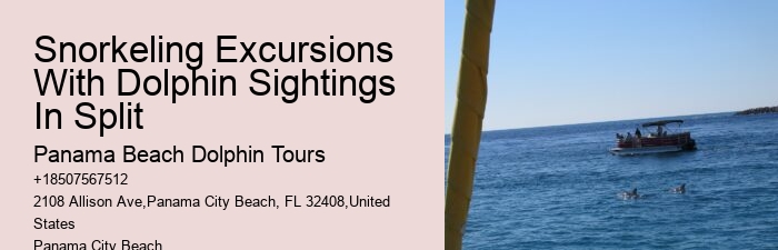 Individual Dolphin Encounter and Snorkeling Tours