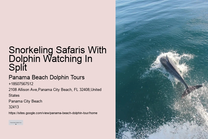 What Not To Do Around Dolphins