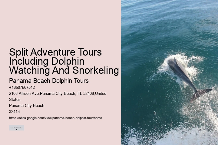 Port Aransas Dolphin Tours